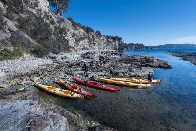 Hobart's Cliffs, Caves and Beaches Kayak Tour - Afternoon Sea Caves, Big Views, and Wildlife Odds