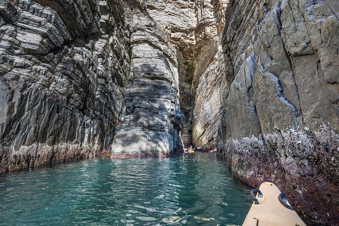 Hobart's Cliffs, Caves and Beaches Kayak Tour - Value Check: Is $211.59 Worth It for a 7-Hour Day?