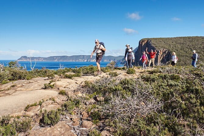Hobart's Cliffs, Caves and Beaches Kayak Tour - Who This Tour Fits Best (And Who Might Not Love It)