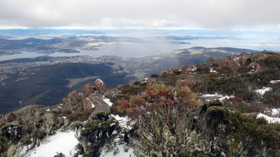 Kunanyi & Mt Wellington Explorer Bus: One-Way Bus Pass - Practical tips to help your day go smoothly