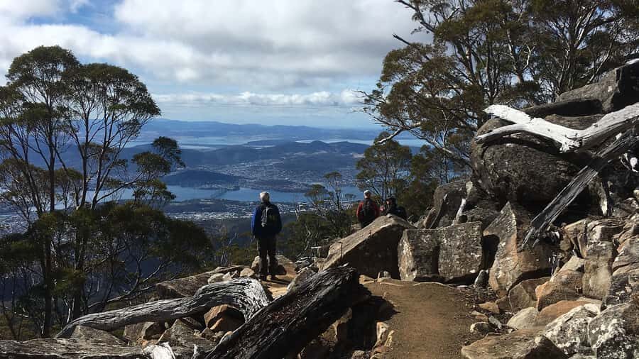 Kunanyi & Mt Wellington Explorer Bus: One-Way Bus Pass - Walking down to Hobart: the 13.6 km viewpoint-to-city payoff