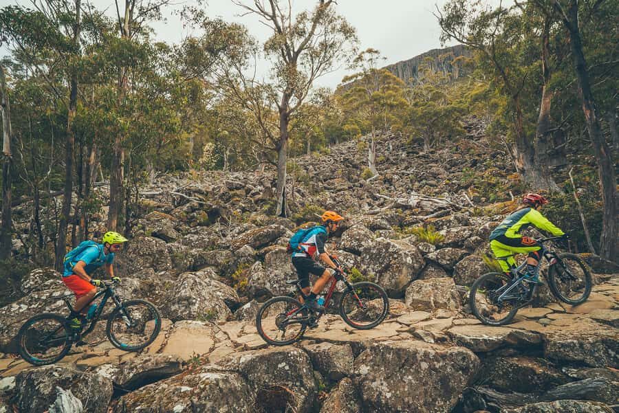 Kunanyi & Mt Wellington Explorer Bus: One-Way Bus Pass - Weather reality: the alpine day you should pack for