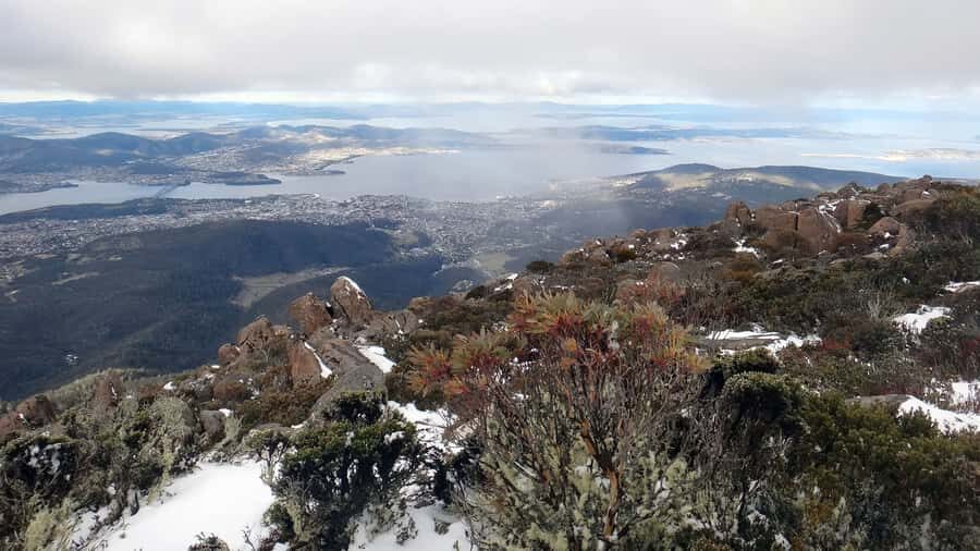 Kunanyi & Mt Wellington Explorer Bus: One-Way Bus Pass - Who this works best for (and who should look elsewhere)