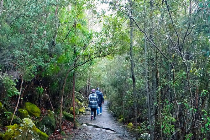 kunanyi/Mt Wellington Explorer Bus - One Way Tour - Key things to know before you go