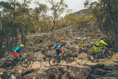 kunanyi/Mt Wellington Explorer Bus - One Way Tour - The summit experience at The Pinnacle: interpretive signage, toilets, and a time window
