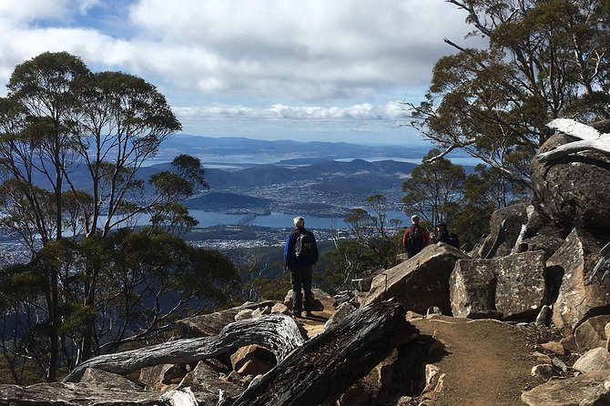 kunanyi/Mt Wellington Explorer Bus - One Way Tour - Mountain biking descent: North-South Track and the The Springs start