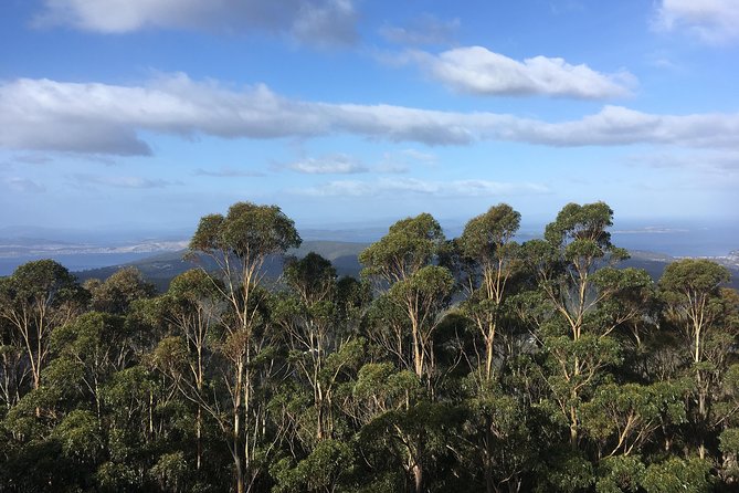kunanyi/Mt Wellington Explorer Bus - One Way Tour - Who should book (and who might want a different plan)