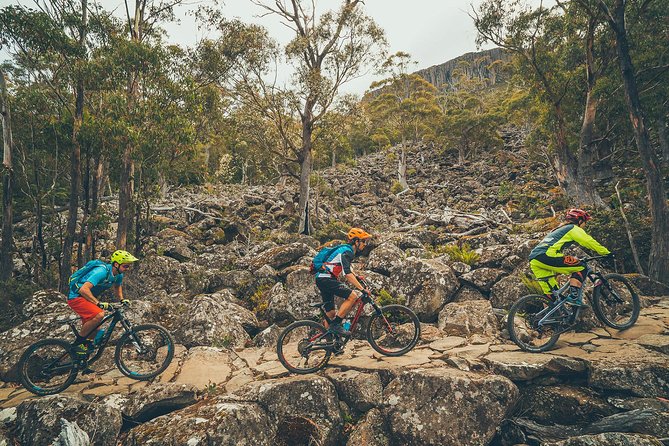 kunanyi/Mt Wellington Explorer Bus - One Way Tour - The summit experience at The Pinnacle: interpretive signage, toilets, and a time window
