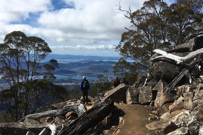 kunanyi/Mt Wellington Explorer Bus- Return Tour (2.5 hours) - Timing Tips: How to Get the Most Out of 2.5 Hours