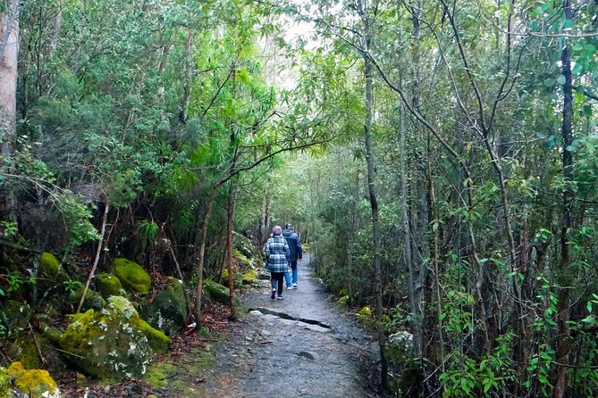 kunanyi/Mt Wellington Tour & Hobart Hop-On Hop-Off Bus - Who this tour fits best in your Hobart itinerary