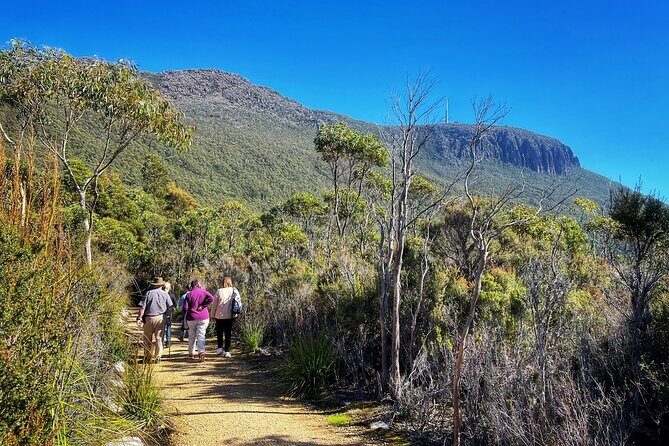 kunanyi/Mt Wellington Ultimate Experience Afternoon Tour - From Brooke Street Pier to a Summit View: the “easy win” format