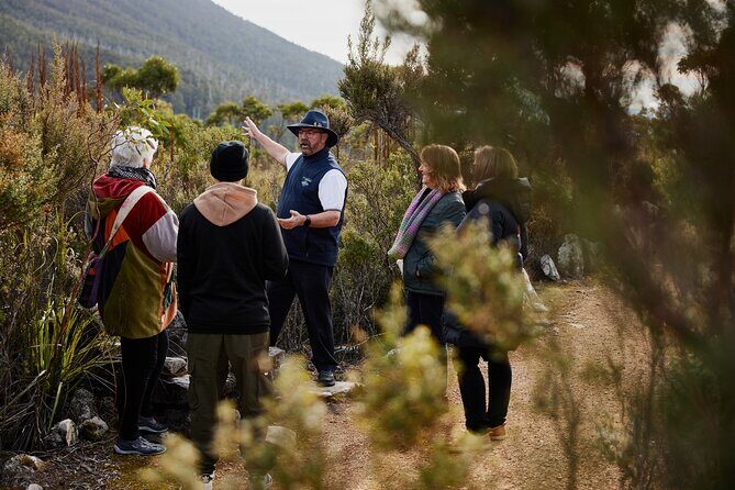 kunanyi/Mt Wellington Ultimate Experience Afternoon Tour - Exhibition Gardens at The Springs: a gentle break with real character