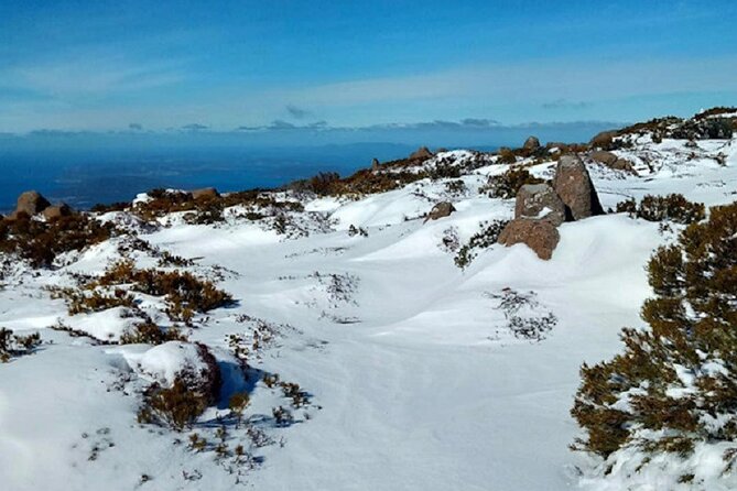 kunanyi/Mt Wellington Ultimate Experience Tour from Hobart - Cascade Gardens: a small, pleasant landing in the city