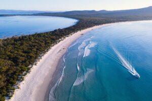 Maria Island Cruise and Guided Walk Day Tour with Lunch and Drinks - The 4-Hour Scenic Cruise: Wildlife Viewing With Scientist-Led Commentary