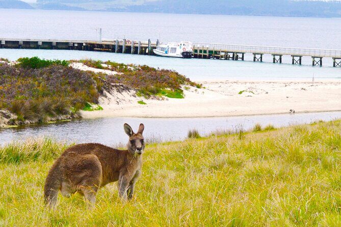 Maria Island Ferry - Hobart Bus Connection (Return Service) - Getting From Hobart (Brooke Street Pier) to Triabunna Marina
