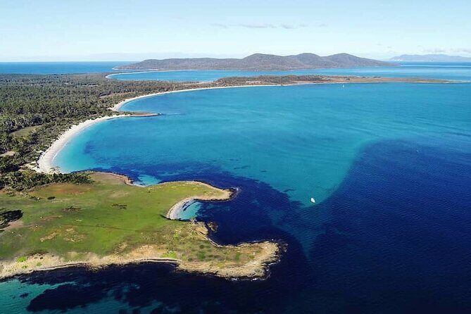 Maria Island Ferry - Hobart Bus Connection (Return Service) - On the Bus: Air-Conditioning, Punctual Pickup, and Local Context