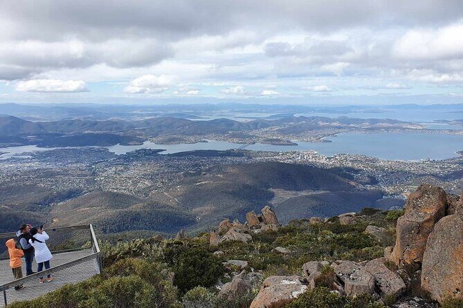 Mount Wellington Pinnacle 2 Hours Small Group Tour - Snow Gums, Wildflowers, and Geology on the Ascent