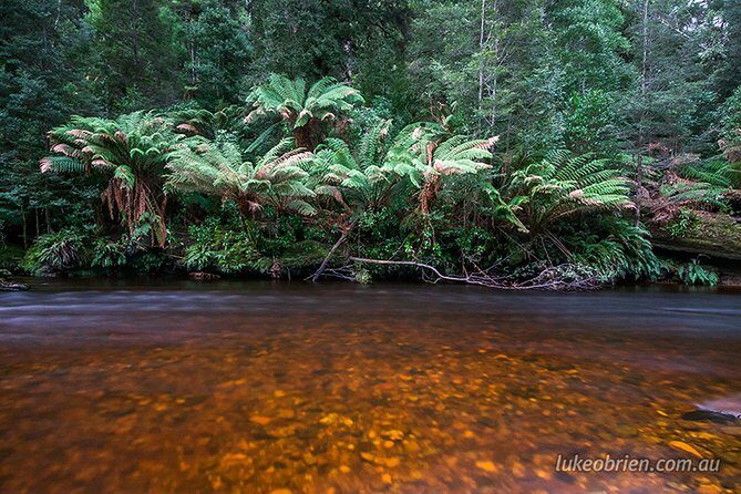 Mt Field and Styx Valley Photography Tour - Who this Mt Field and Styx Valley photography tour suits best