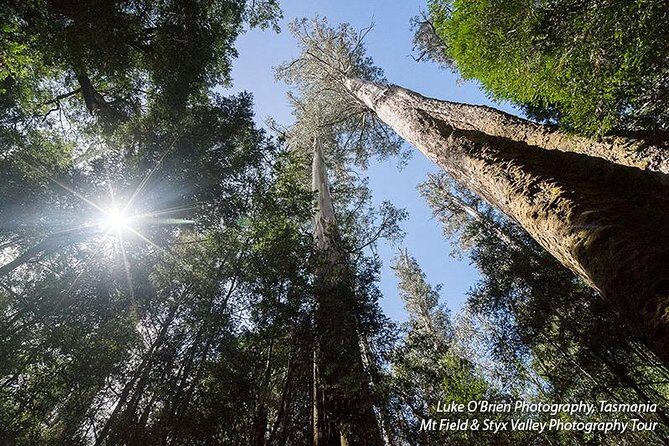 Mt Field and Styx Valley Photography Tour - Meet Luke O’Brien and get a coaching plan for your camera