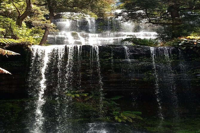 Mt Field National Park and Russell Falls from Hobart - Key highlights you’ll care about