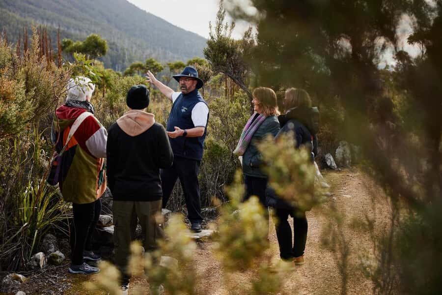 Mt Wellington Ultimate Afternoon Tour - Key things to know before you go