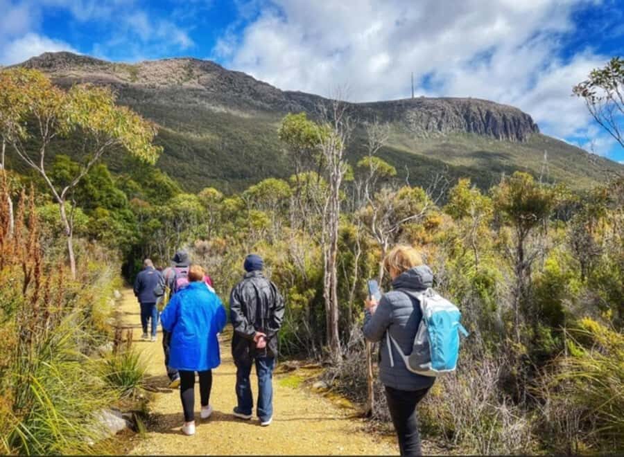 Mt Wellington Ultimate Afternoon Tour - Getting from Brooke Street Pier to Kunanyi is half the convenience