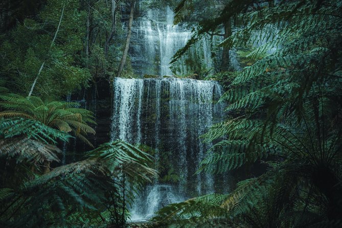 Peaks, Falls & Furry Locals: Mt. Field & the Derwent - Key highlights you’ll care about