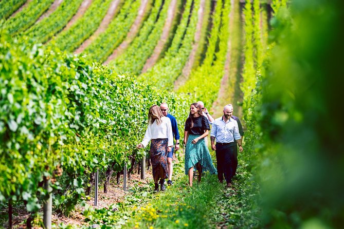 Peaks, Falls & Furry Locals: Mt. Field & the Derwent - Practical value check: what you’re paying for at $710.07 per person