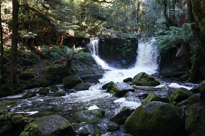 Peaks, Falls & Furry Locals: Mt. Field & the Derwent - What makes the rainforest walk work (and what to do if you’re short on stamina)