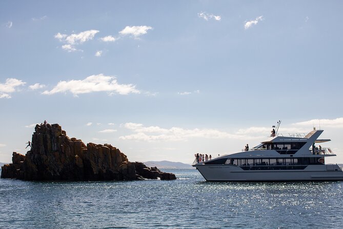 Peppermint Bay Cruise & Lunch - Derwent River to the Channel: the 10:30am rhythm