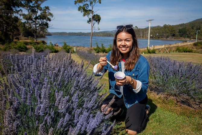 Port Arthur, Richmond and Lavender Active Day Tour - Pirates Bay / Eaglehawk Neck: History + Coastal Stops to Set the Scene