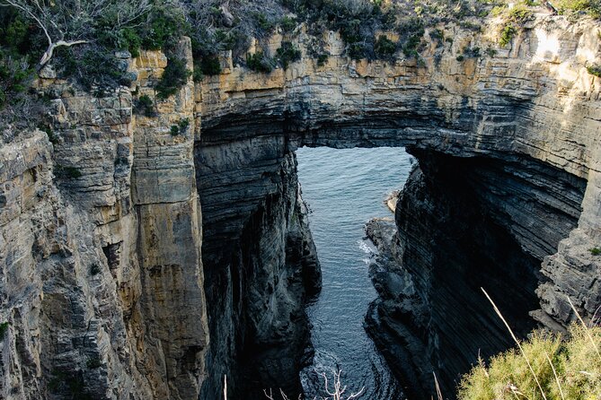 Port Arthur, Richmond and Tassie Devils Active Tour from Hobart - Key things I think are worth your attention