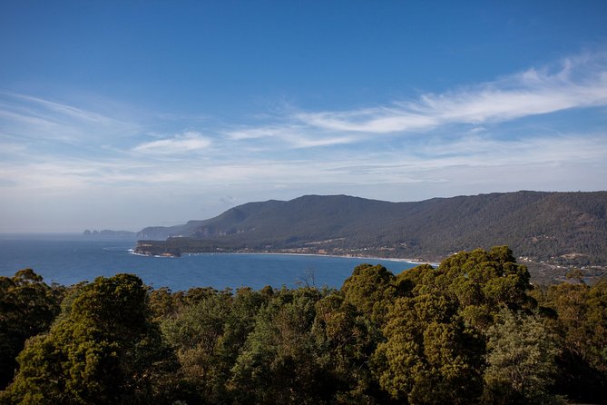 Port Arthur, Richmond and Tassie Devils Active Tour from Hobart - A fast, focused day out of Hobart