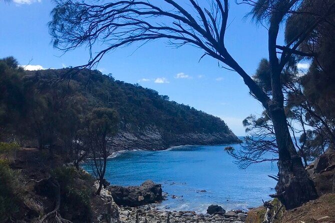 Private Bruny Island Discovery Tour - The Neck stair climb: seabirds, penguin talk, and sea views