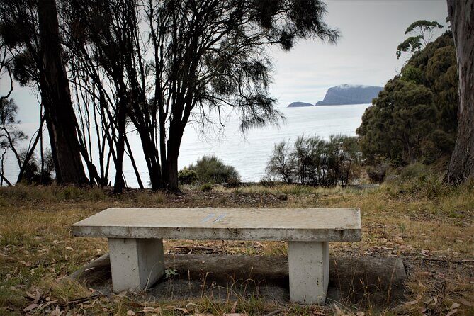 Private Bruny Island Discovery Tour - Get Shucked Oyster Bar: the first taste and the farming story