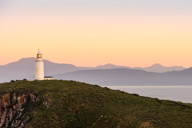 Private Wine and Beverage Tours in Tasmania - What happens at tastings, and how to plan your spending