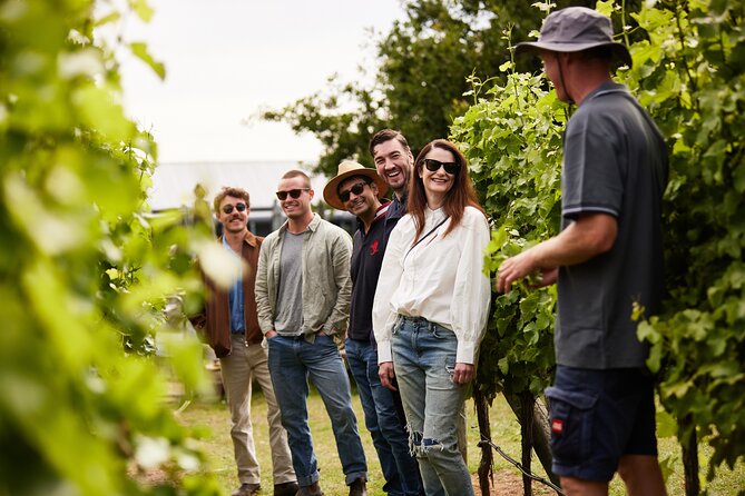 Shore Excursion Hobart and Coal River Valley - Puddleduck Vineyard: cellar door tastings in family-run style