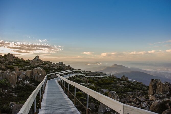 Shore Excursion: Hobart Highlights Day Tour - Price and value: what $107.59 buys you in a short port day