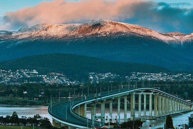 Shore Excursion-Hobart Wanderer - Bonorong Wildlife Sanctuary: Your Chance to See Tasmania Up Close