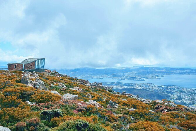 Shore Excursion: Hobart Wanderer - One day that actually feels like Tasmania