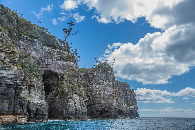 Shore Excursion - Port Arthur - Tasman Peninsula - Key things to know before you go