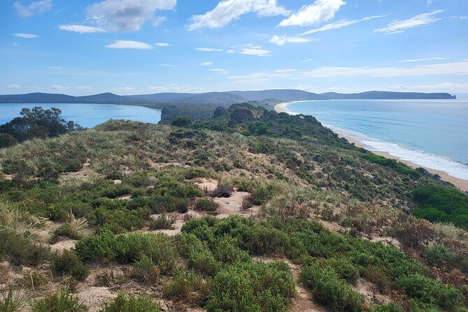 Signature Bruny Island Tour - Hobart & SE Tasmania - Key things worth getting excited about