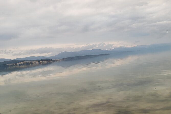 Signature Bruny Island Tour - Hobart & SE Tasmania - Honey and cheese tastings where you learn by tasting