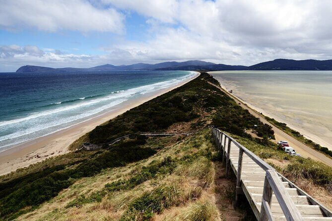 Signature Bruny Island Tour - Hobart & SE Tasmania - Bruny Island walking time: short and manageable, not a hike day