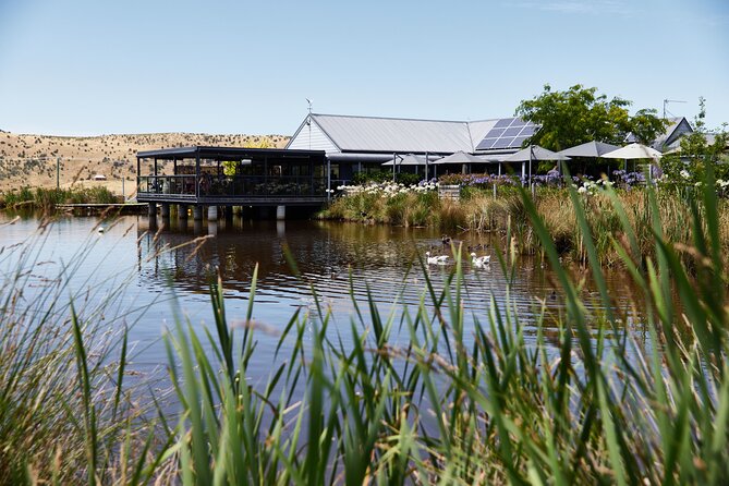 Signature Saturday Wine Tour - Why this late-morning wine run works from Hobart