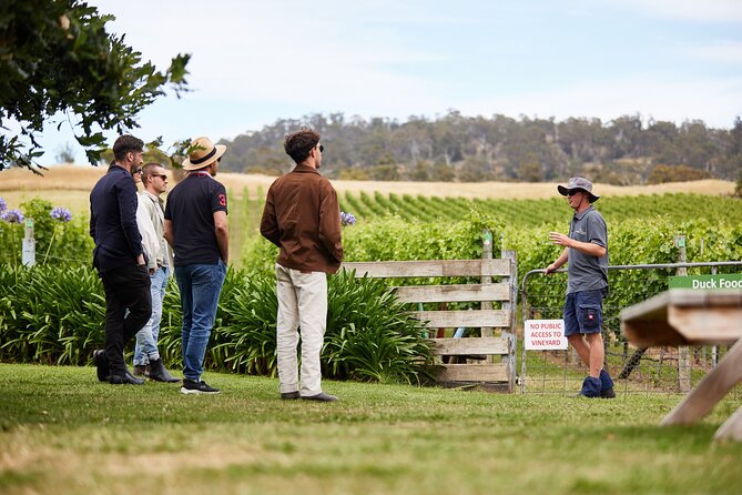 Signature Saturday Wine Tour - The guide factor: what makes the day feel smooth