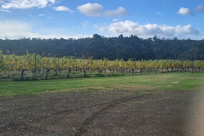 Signature Wine Tour - Hobart & SE Tasmania - Wicked Cheese Co.: The Savory Counterpoint Stop