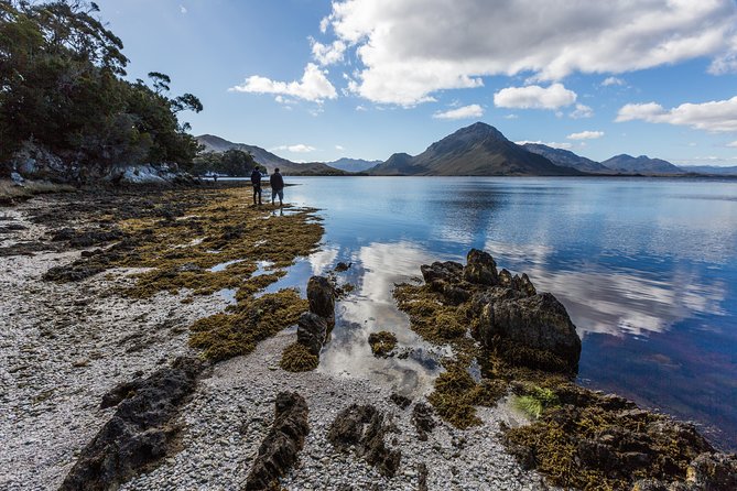 Southwest Tasmania Wilderness Experience: Fly Cruise and Walk Including Lunch - Price and value: is $537.22 fair for this route?