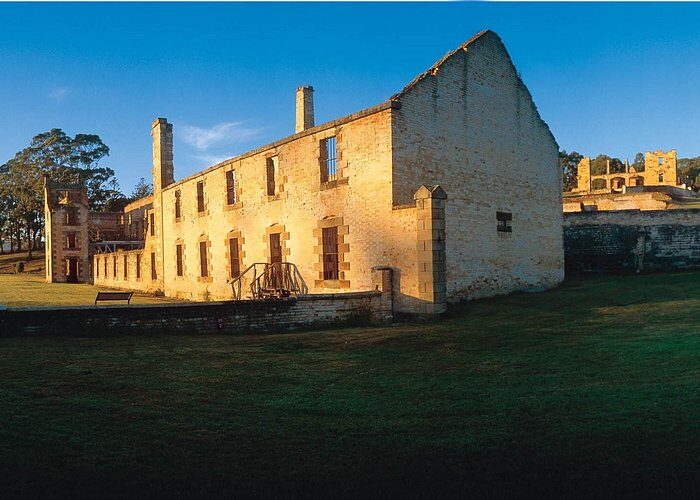 Tasman Island Cruises and Port Arthur Historic Site Day Tour from Hobart - Wildlife spotting that feels real, not forced