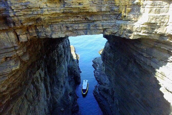 Tasman Island Cruises Day Tour from Hobart - Key things I’d circle before you book